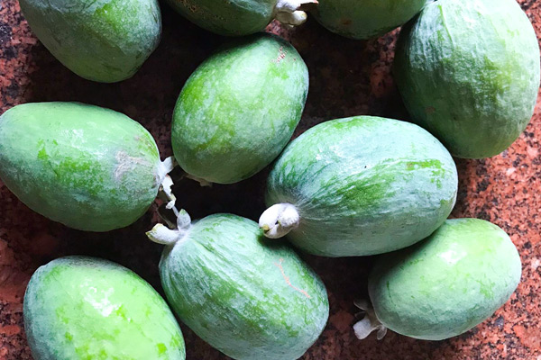 Feijoa Biologiche di Sirgole - kg 1