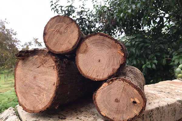 Tronchetti di legno (chunks) Pecan - kg 5