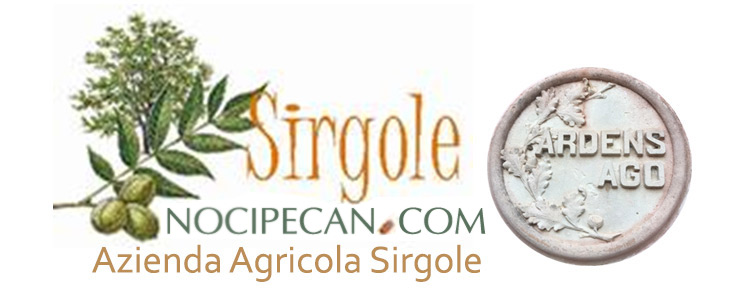 LOGOSIRGOLE2